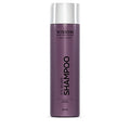 Vision It's Silver Schampo 250ml